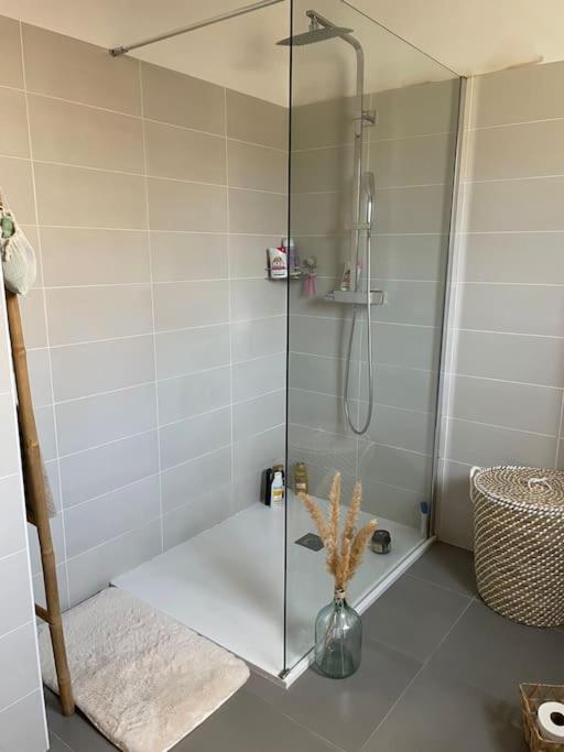 Appartement T2 Avec Jardin Lucciana  Exteriör bild